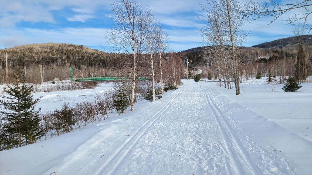 Condo-Chalet De La Vallee D'Edouard LʼAnse-Saint-Jean Exteriér fotografie