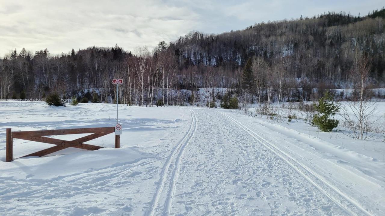 Condo-Chalet De La Vallee D'Edouard LʼAnse-Saint-Jean Exteriér fotografie