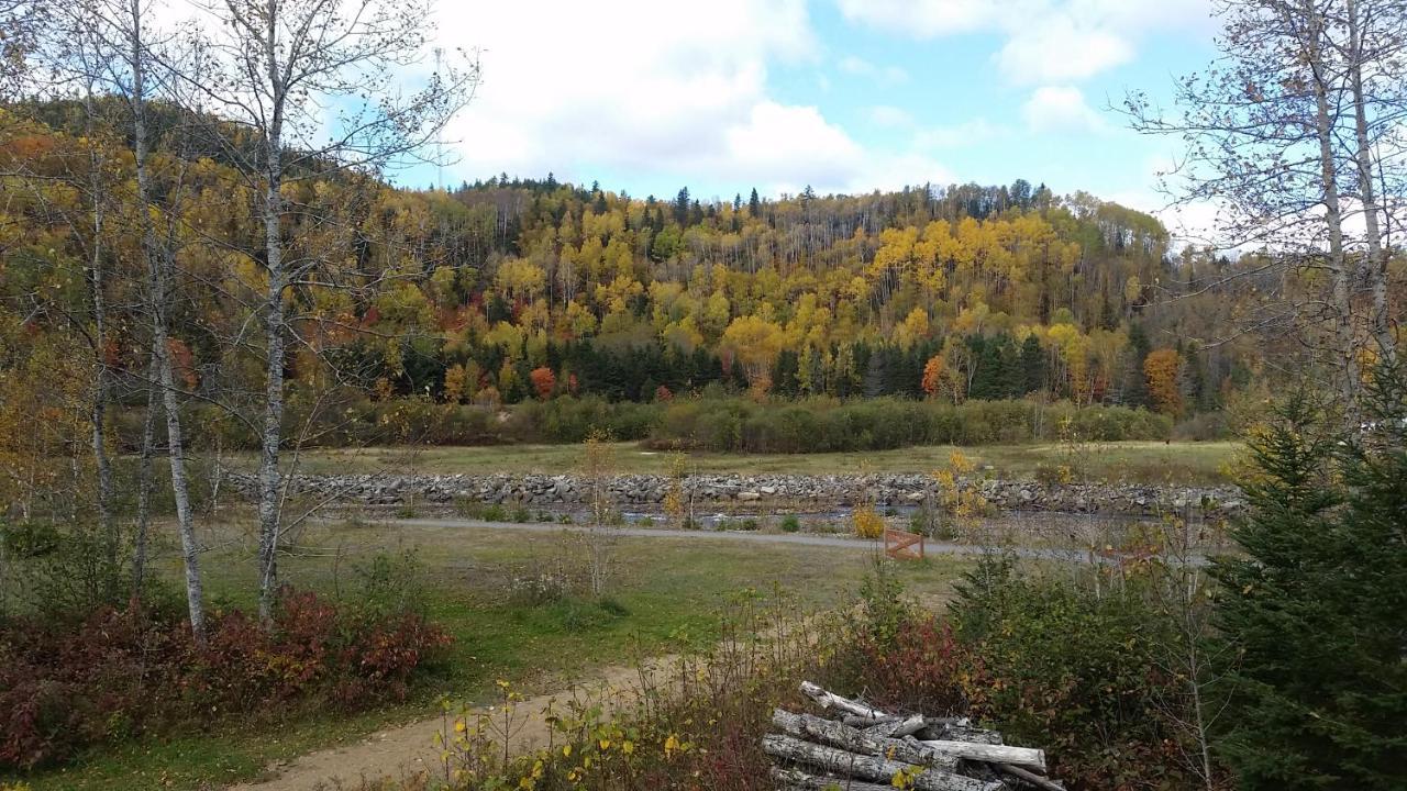 Condo-Chalet De La Vallee D'Edouard LʼAnse-Saint-Jean Exteriér fotografie
