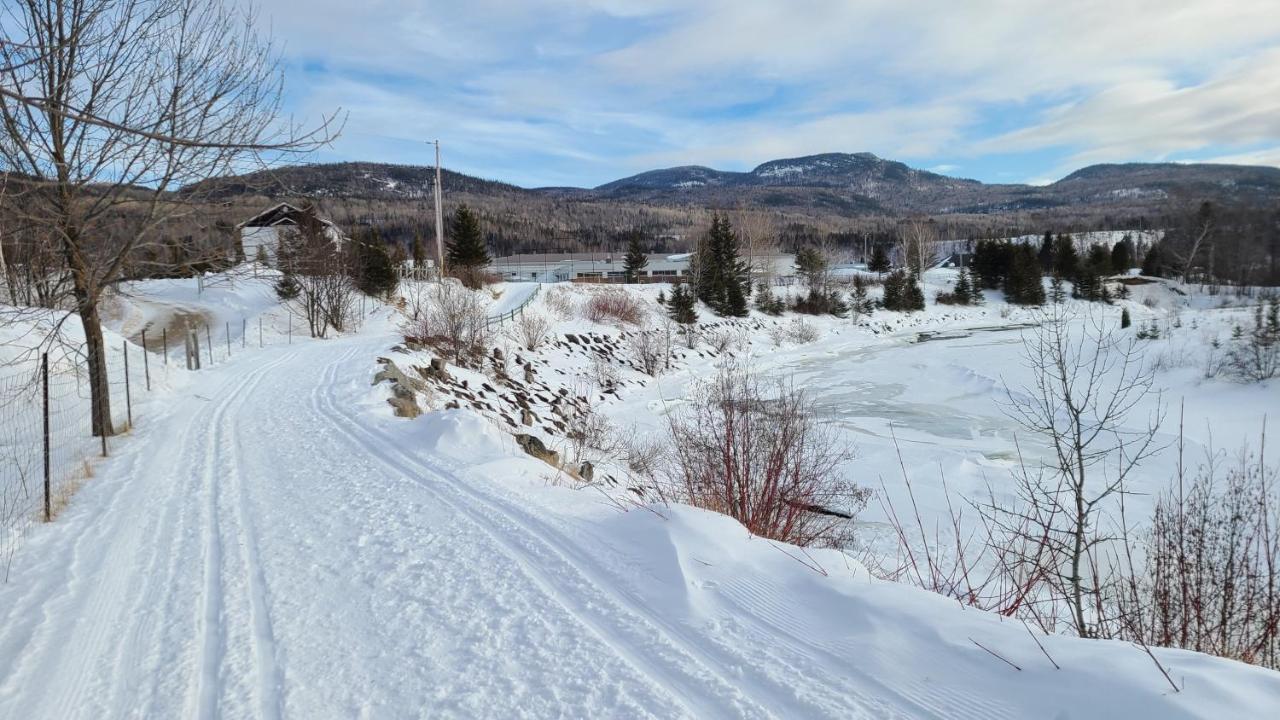 Condo-Chalet De La Vallee D'Edouard LʼAnse-Saint-Jean Exteriér fotografie